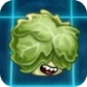 Салат-лаТук (Headbutter Lettuce)