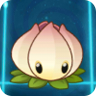 Силовая лилия (Power Lily)